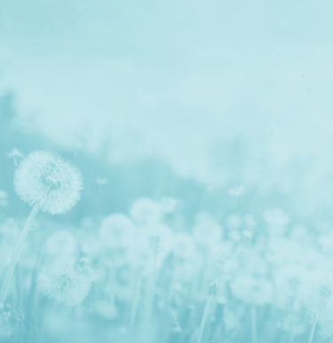 Aers Header Banner